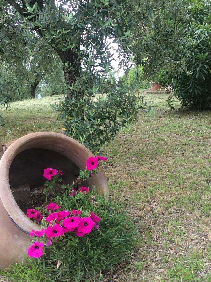 קאפאנורי Tenuta Gaetano Spadaro מראה חיצוני תמונה